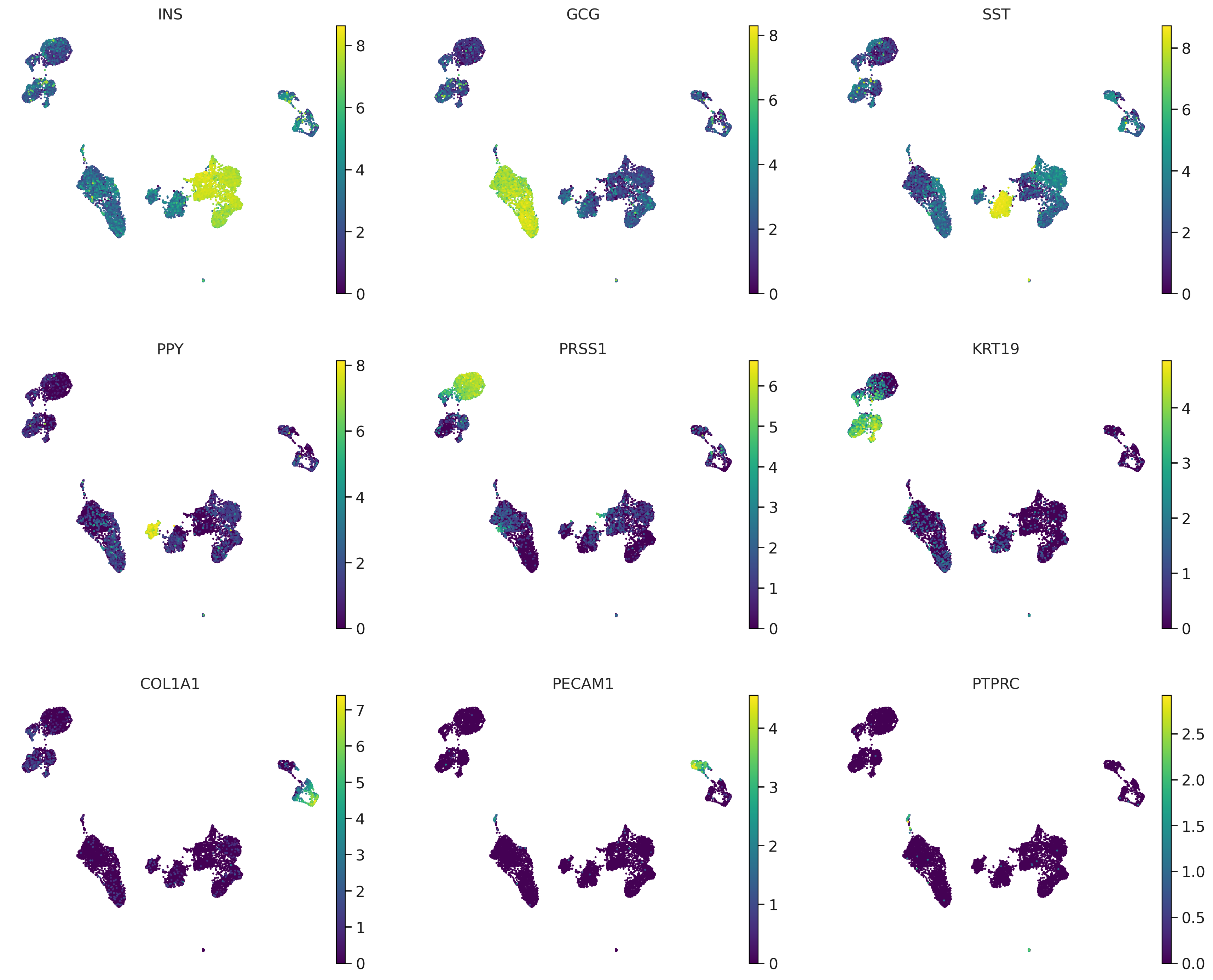 Baron human pancreas marker genes on UMAP