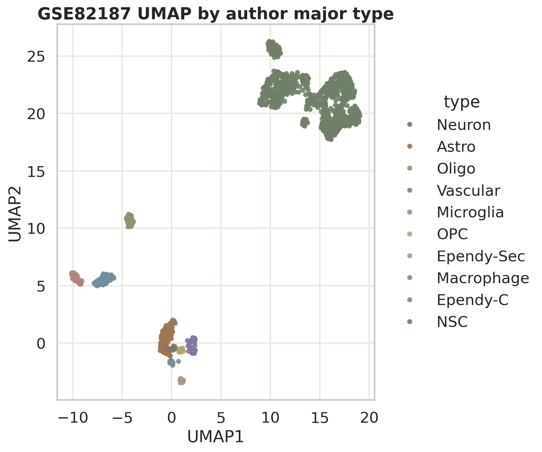 UMAP 按作者 major type 着色。Neuron 是主体,Astro、Oligo、OPC、Microglia、Vascular 等小群能形成相对清楚的表达空间。