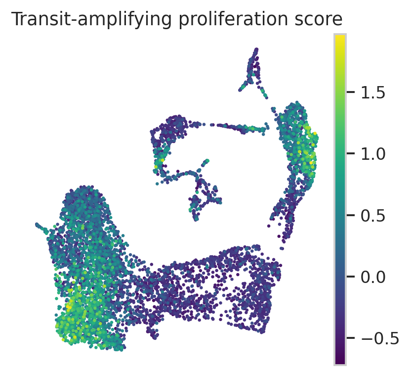 Haber TA proliferation signature UMAP