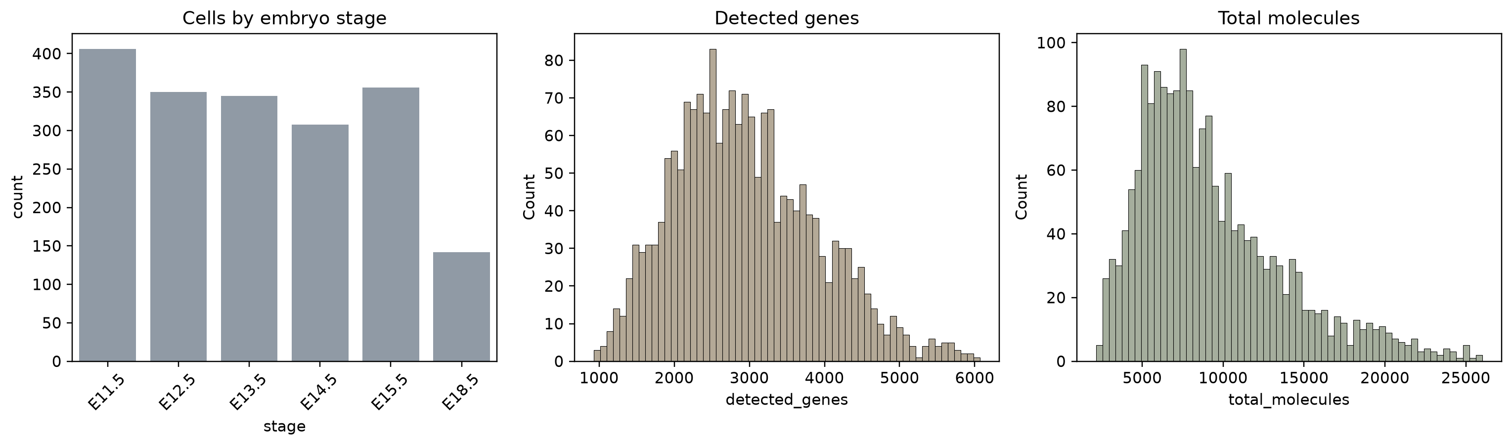 数据规模、发育阶段、detected genes 和 molecule counts 概览。