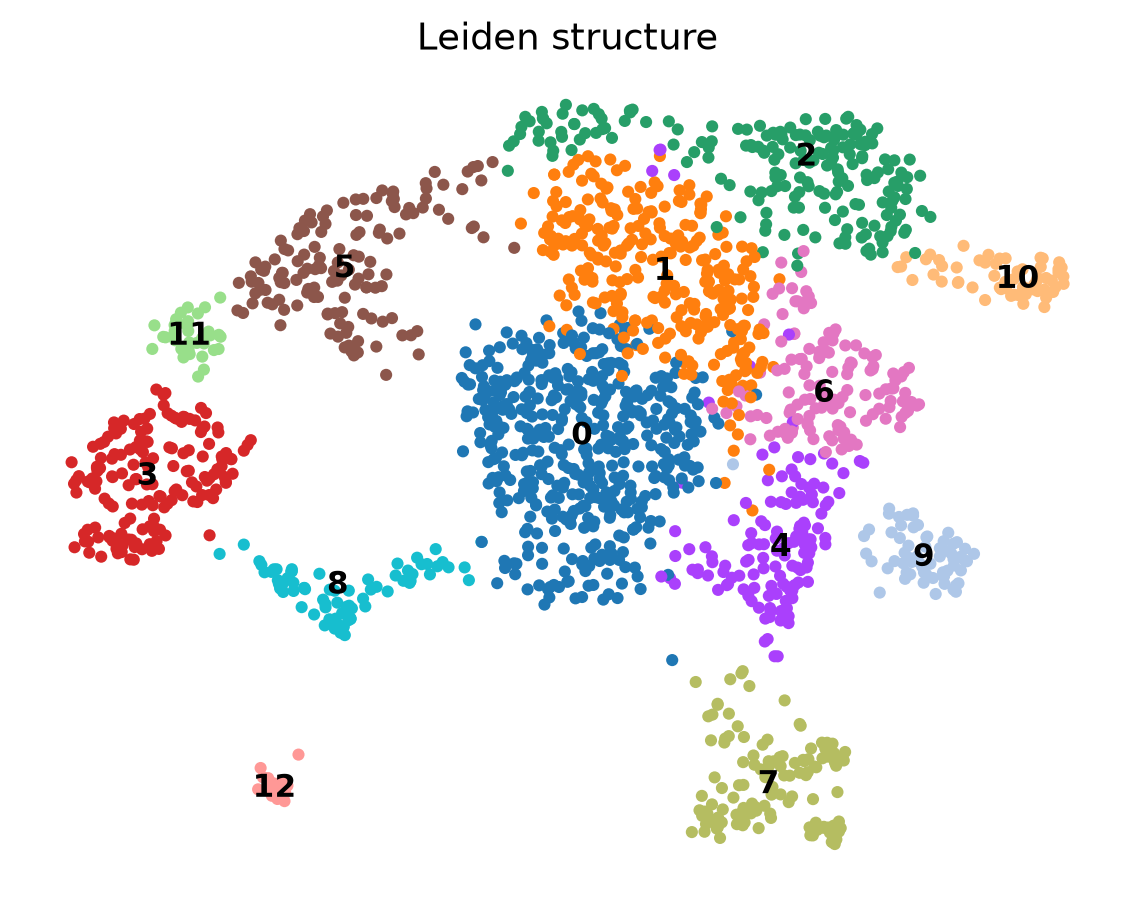 无监督 Leiden 结构。