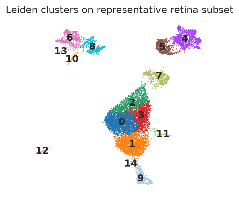 Macosko P14 retina Leiden clusters