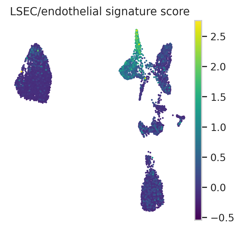 MacParland LSEC endothelial signature UMAP