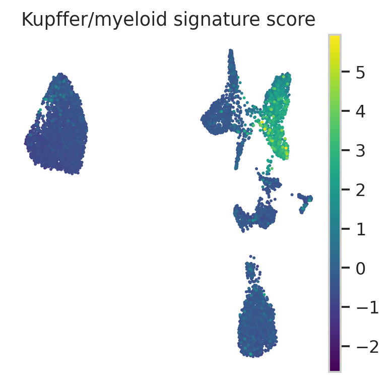 MacParland myeloid Kupffer signature UMAP