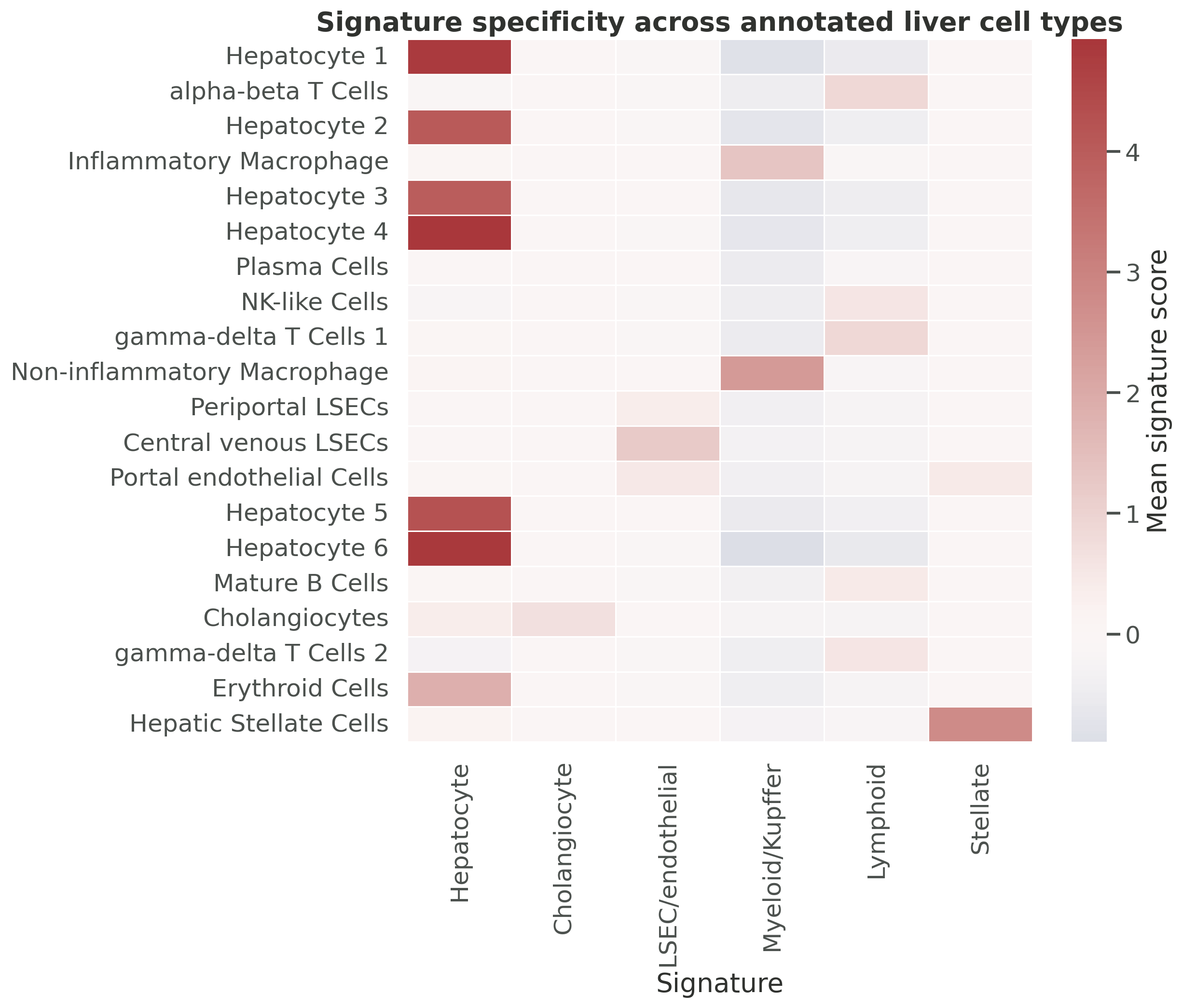 MacParland liver signature heatmap