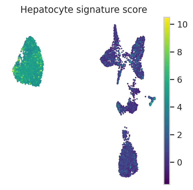 MacParland 人肝脏 hepatocyte signature UMAP