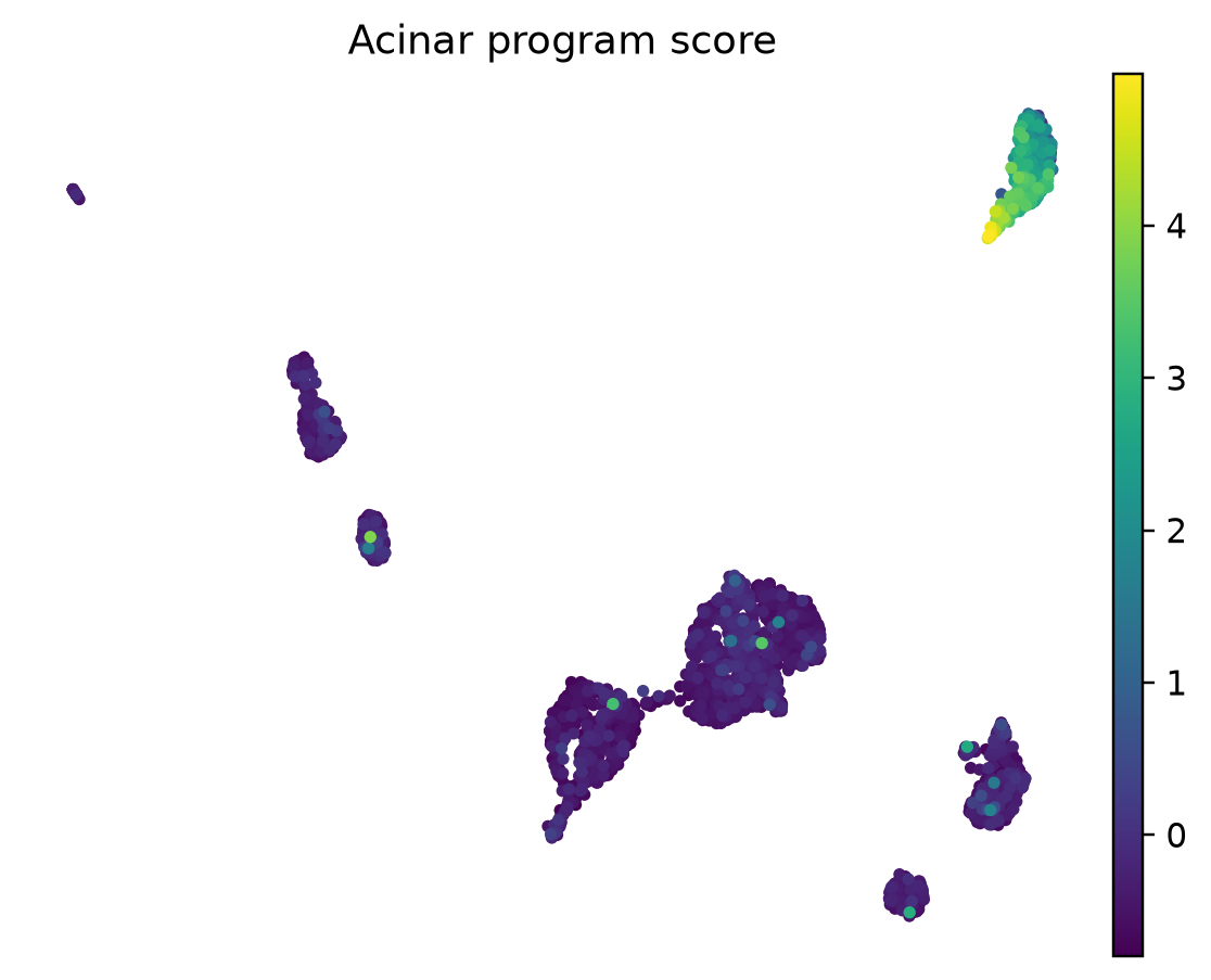 Muraro 人胰腺 acinar 细胞 marker score