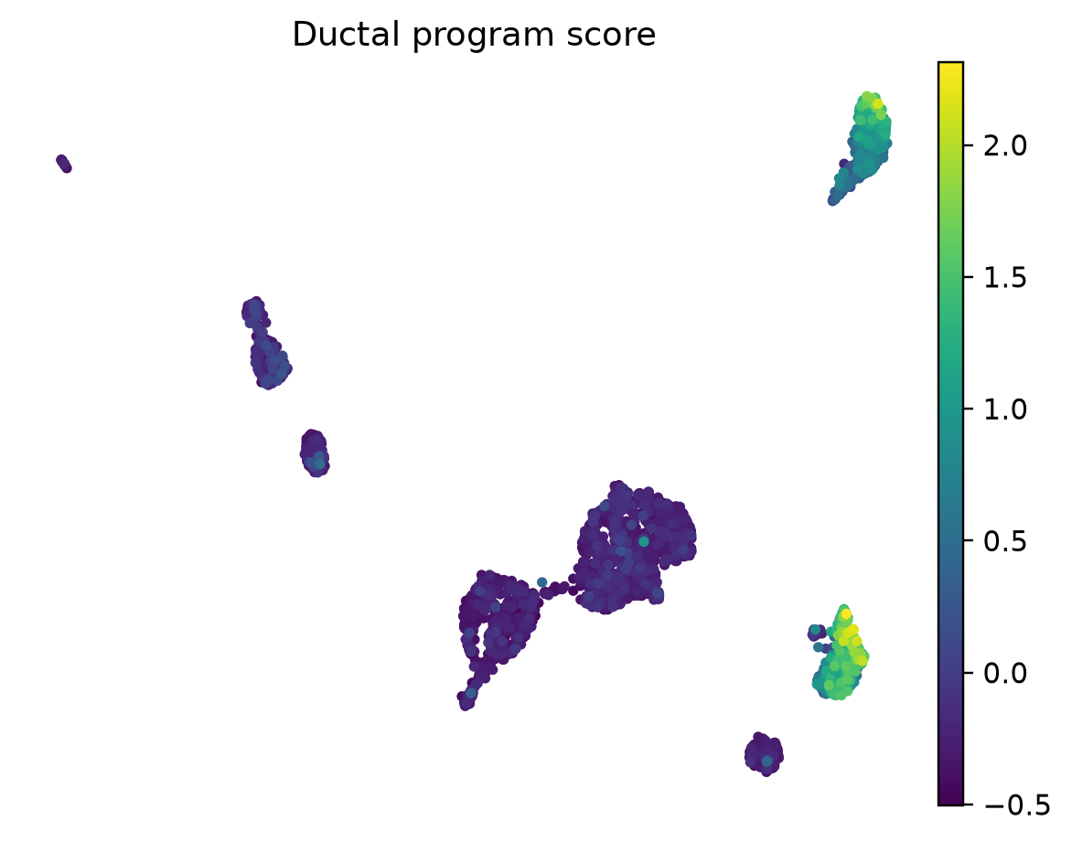 Muraro 人胰腺 ductal 细胞 marker score