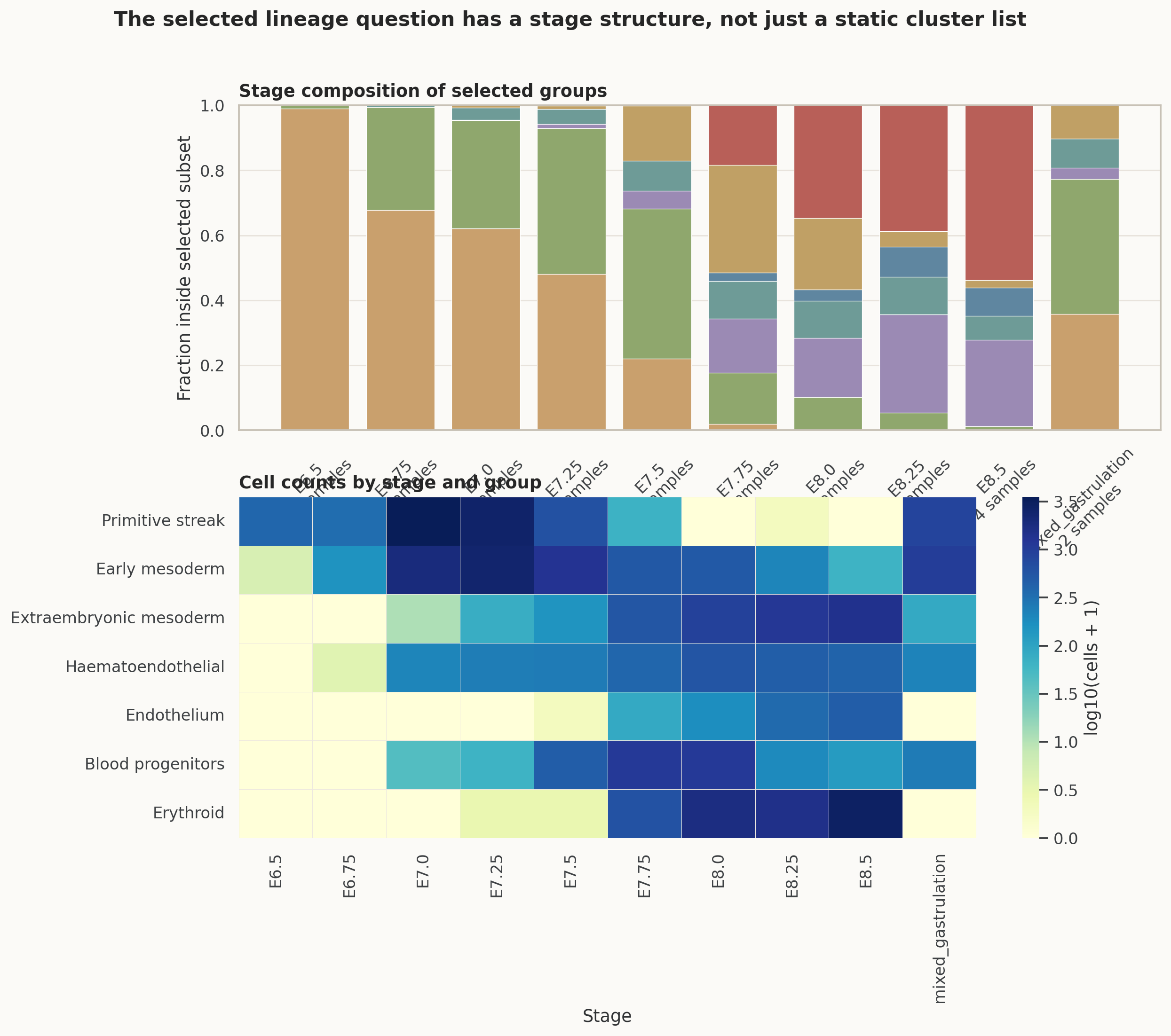 Pijuan-Sala 所选谱系子集的 stage composition 和 group count heatmap。