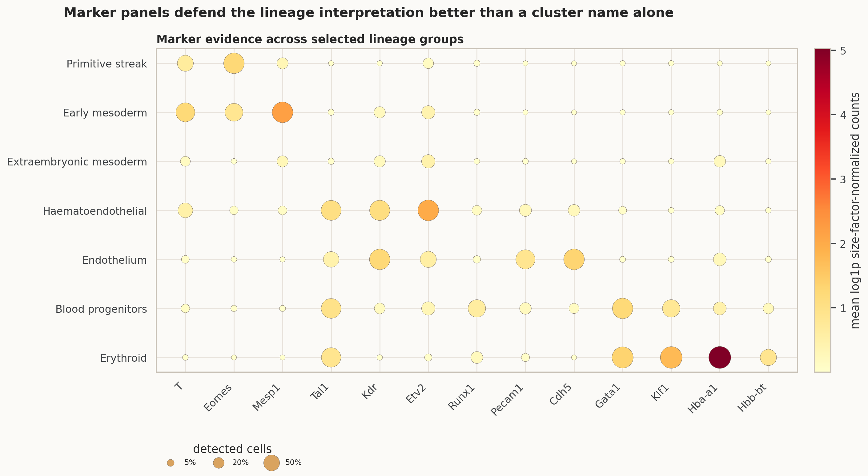Pijuan-Sala 中胚层-血液内皮子集 marker dotplot。