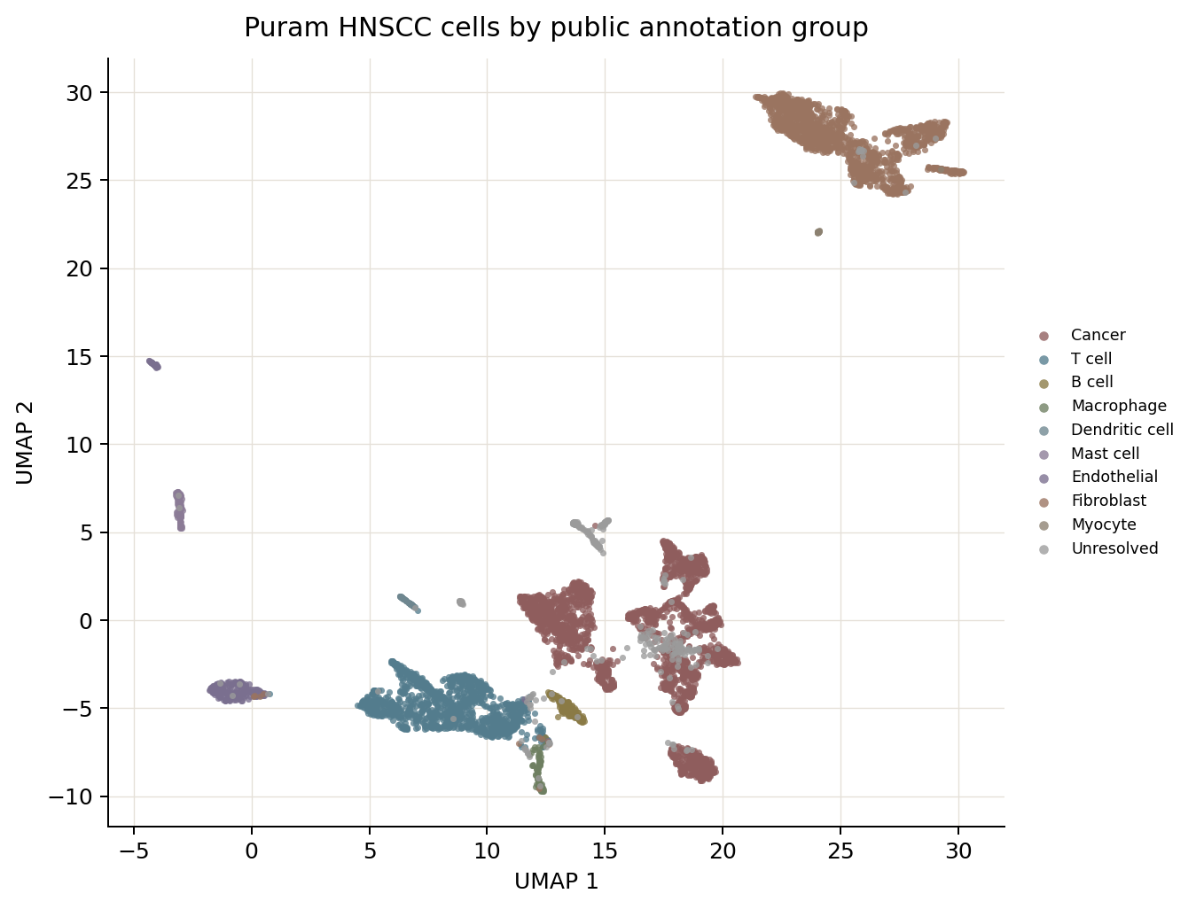Puram HNSCC cell group UMAP