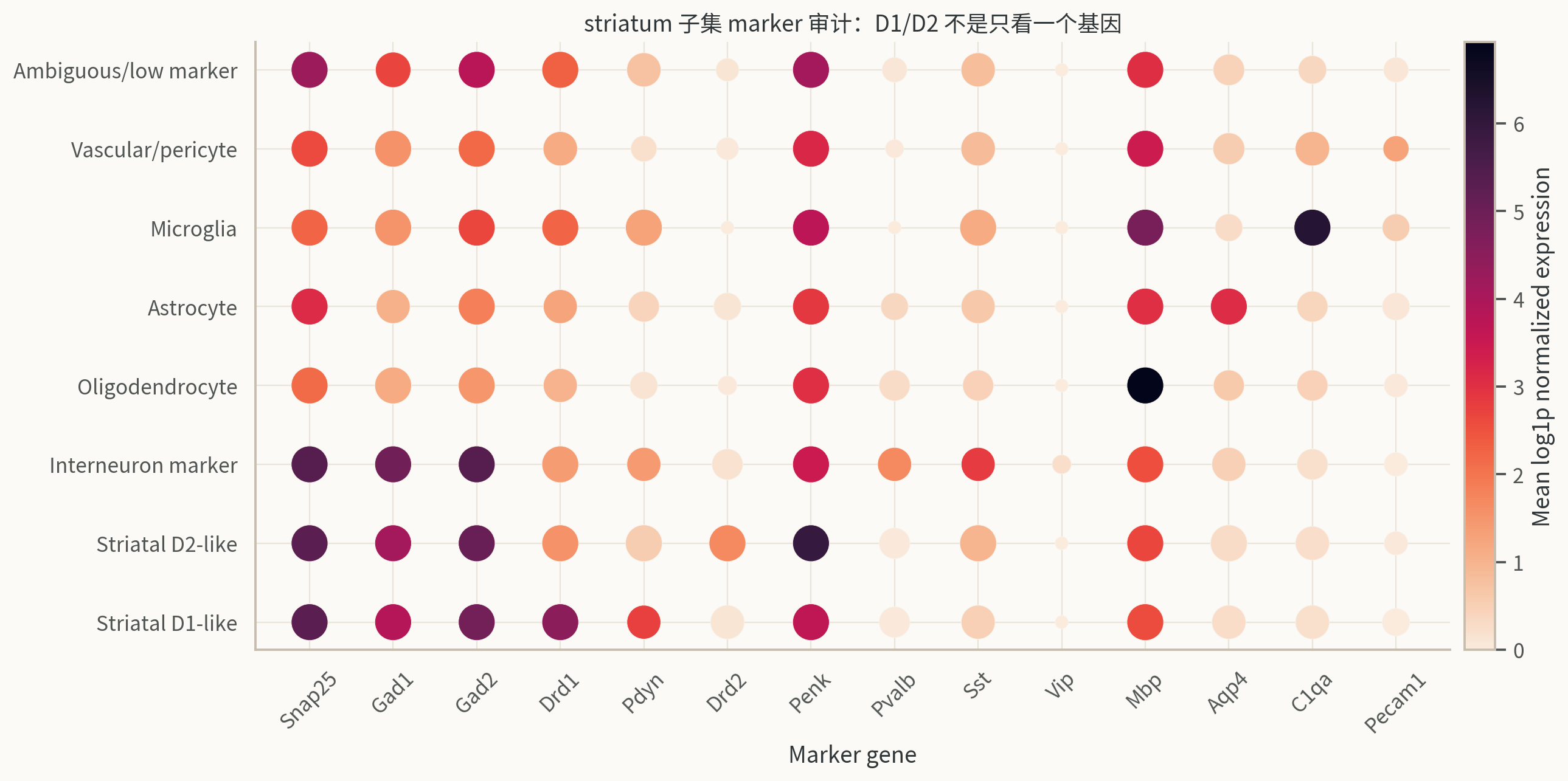 Saunders DropViz striatum subset marker dotplot。