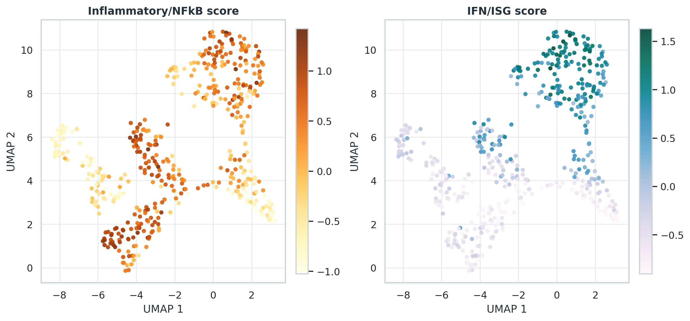 炎症/NFkB 和 IFN/ISG 模块评分在 LPS 时间线 UMAP 上的分布。