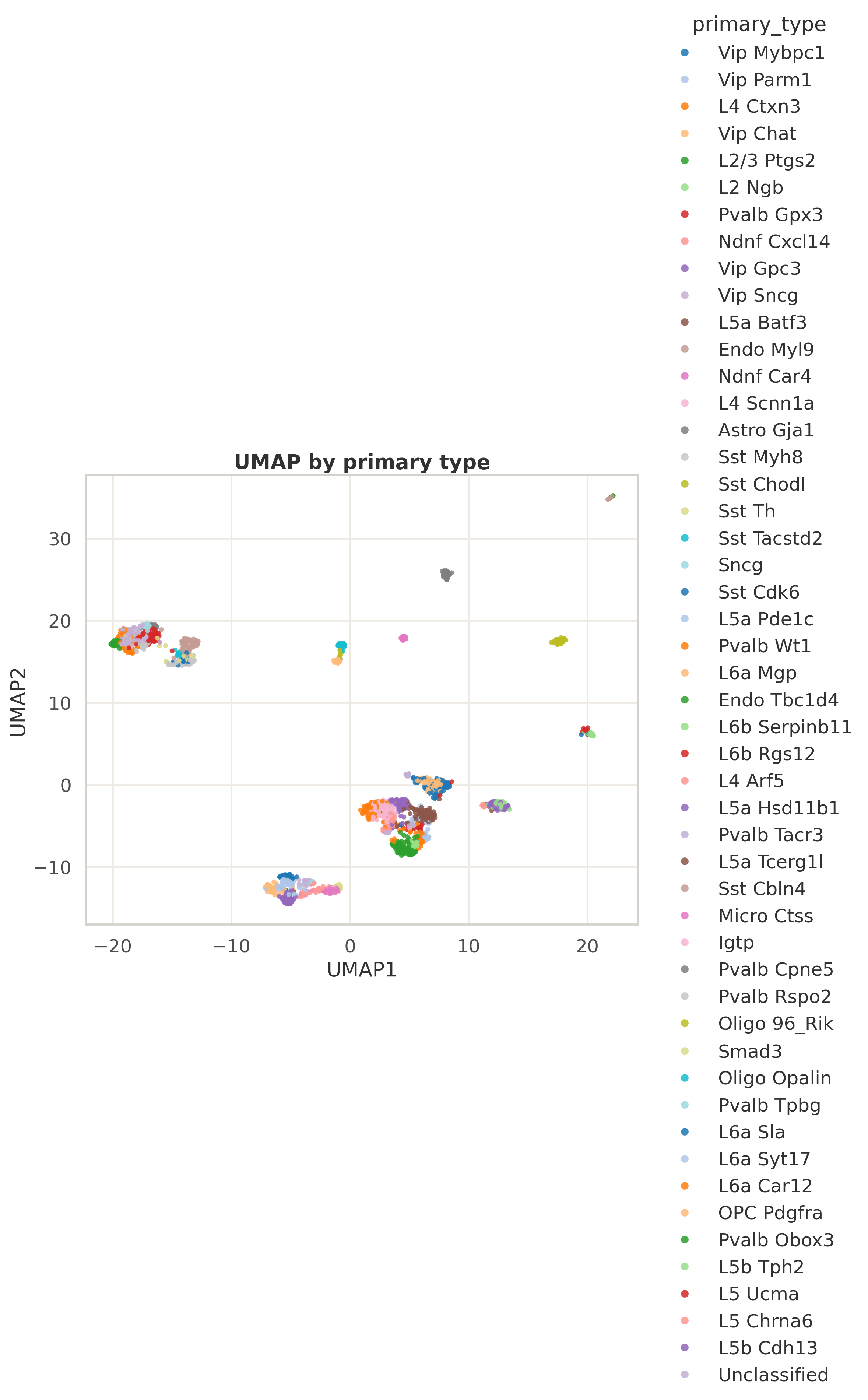 Tasic visual cortex UMAP by primary type