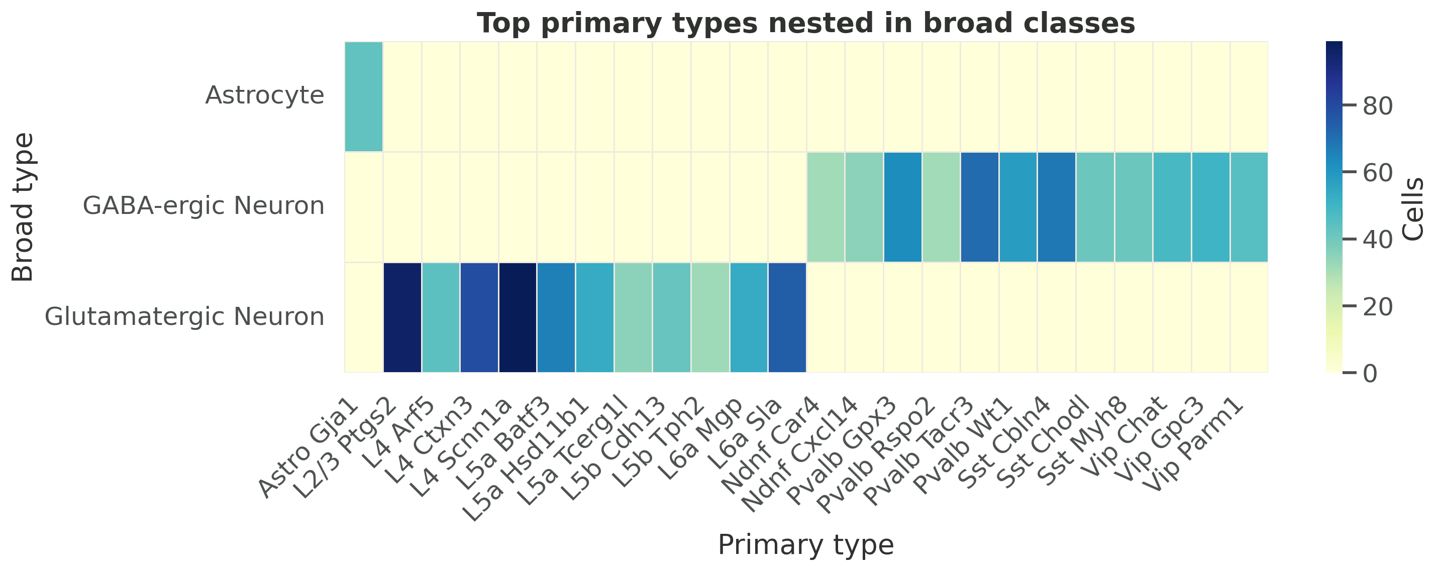 Tasic primary type heatmap